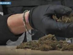 Maxi operazione della polizia: 1.335 arresti, sequestrati 450 kg di droga