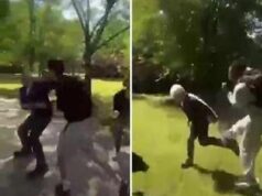 Parma, docenti aggrediti e picchiati da studenti