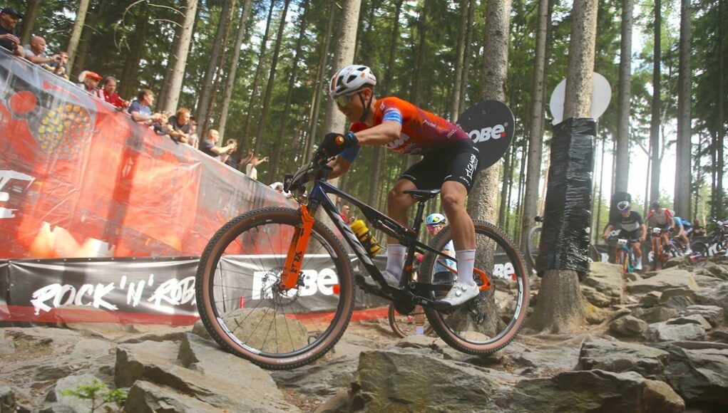 fasoli_1 Ktm Protek Elettrosystem