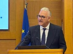 Cuzzilla (Cida): “Ai già nel lavoro dei manager ma non in modelli organizzativi”