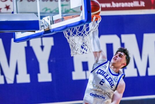 Treviglio Brianza Basket