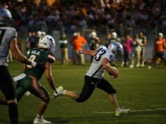 Football americano: il cammino dei Frogs Legnano si ferma ad Ancona. I Dolphins vincono 45-31 Frogs Legnano