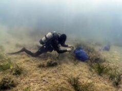 Findus rafforza l’impegno per la tutela del mare, lotta a plastiche e ripristino posidonia oceanica