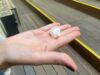 Grandinata a Roma, pioggia di chicchi grandi come palle da golf