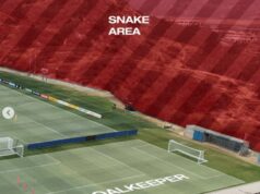 Mondiali 2026, ritiro da ‘paura’ per la Svizzera: campo di allenamento infestato da serpenti