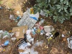Roma, aiuole e marciapiedi nel degrado intorno alla Nuvola: all’Eur cittadini costretti a camminare fra le auto