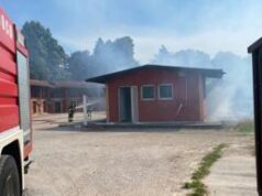Treviso, incendio all’ippodromo Sant’Artemio: sei cavalli muoiono tra le fiamme