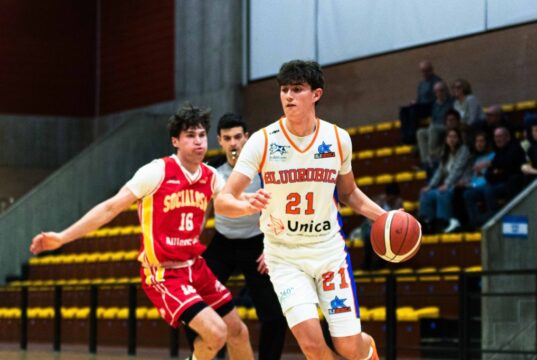 Treviglio Brianza Basket