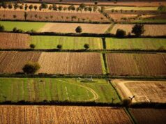Banca nazionale delle Terre Agricole (Bta), al via nona edizione: in vendita 8.863 ettari per un valore di oltre 121 milioni di euro