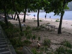 Cina, tifone Noul devasta la provincia del Guangdong: evacuate 800mila persone