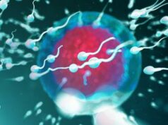 Fertilità, dove vive lui conta: regione di residenza e smog incidono su qualità sperma