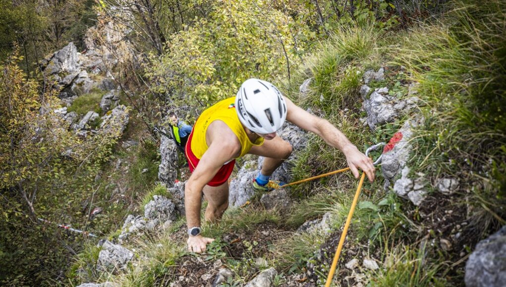 Francesco Bergamaschi-0280 Vertical Zucco