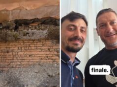 Francesco Totti, la casa invasa da vespe germaniche: il racconto del ‘salvataggio’