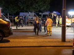 Germania, Valensise: “Immigrazione centrale in campagna elettorale, Afd sfrutterà paura”