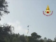 Incendi sul Gargano, fiamme domate. Sindaco di Peschici: “Turisti rientrati nelle strutture”