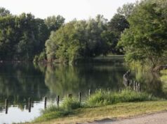 Milano, violentata mentre fa jogging al parco: si salva mordendo l’aggressore, arrestato 26enne