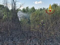 Roma, da via Pineta Sacchetti a Cinecittà: diversi incendi nella Capitale e dintorni