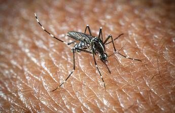 West Nile a Oristano, morta un’altra persona: è la quarta vittima del virus nella provincia