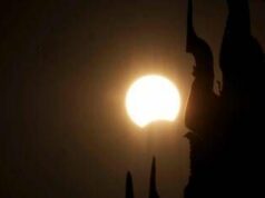 Eclissi, anche gli animali la vedranno: i consigli per non farli agitare