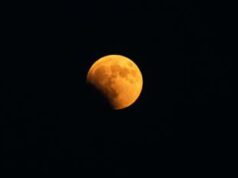 Eclissi lunare del 28 agosto, nessun rischio per gli occhi: ecco quando e dove vederla