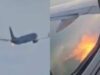 Fiamme da un aereo American Airlines dopo il decollo e atterraggio d’emergenza: “Uccelli hanno colpito il motore”