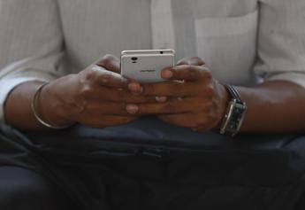 Foglia di alloro nella cover del telefono, il significato del trend: porta davvero fortuna?