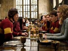 Harry Potter, la protesta dei fan: spostato il cavo sottomarino per la ‘tomba’ di Dobby