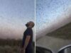 Invasione record di locuste, milioni di insetti oscurano il cielo. E il web grida alla ‘piaga biblica’