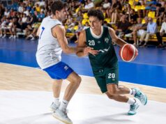 Treviglio Brianza Basket