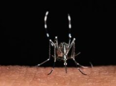 Zanzare, a scatenarle non è solo il caldo: un mix di fattori le ‘accende’