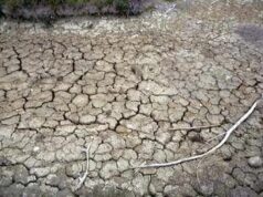 Clima, allarme Onu: “Terra in zona pericolo. El Niño sta assumendo proporzioni enormi”