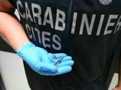 Palermo, fermento all’aeroporto: trovato piccolo serpente sul volo da Lampedusa