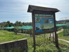 Torino, presunto abuso al parco dell’Arrivore: FdI chiede chiarimenti al Comune