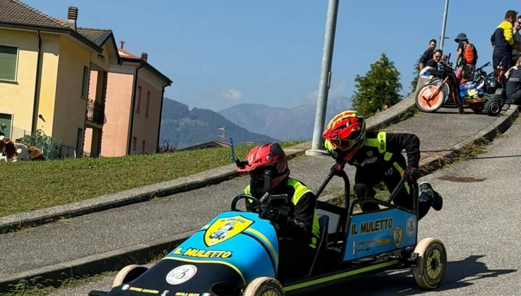 muletto Cinghial Box Rally