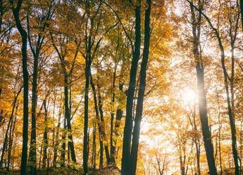 Ancora sole al Centro-Nord, maltempo in arrivo al Sud nel fine settimana: temperature in discesa