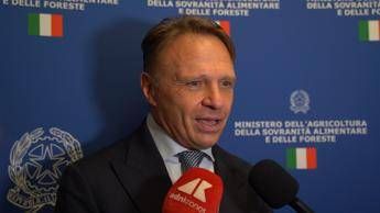 Made in Italy, Lollobrigida: “Significativo far conoscere eccellenze ristorazione”