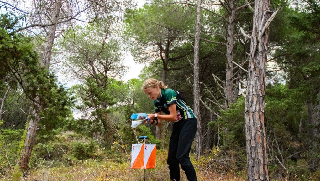 Orienteering