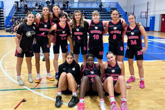 Basket