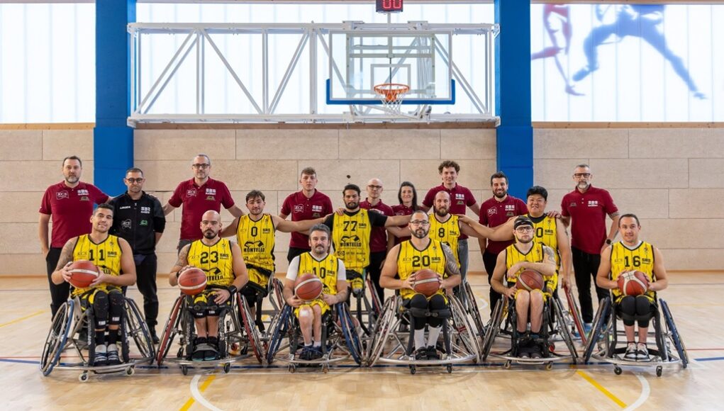 Basket in carrozzina