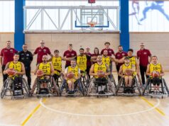 Basket in carrozzina
