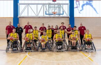 Basket in carrozzina