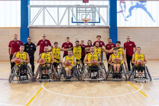 Basket in carrozzina