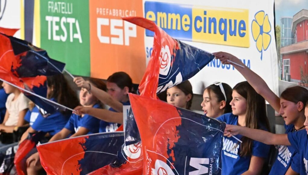 Volley